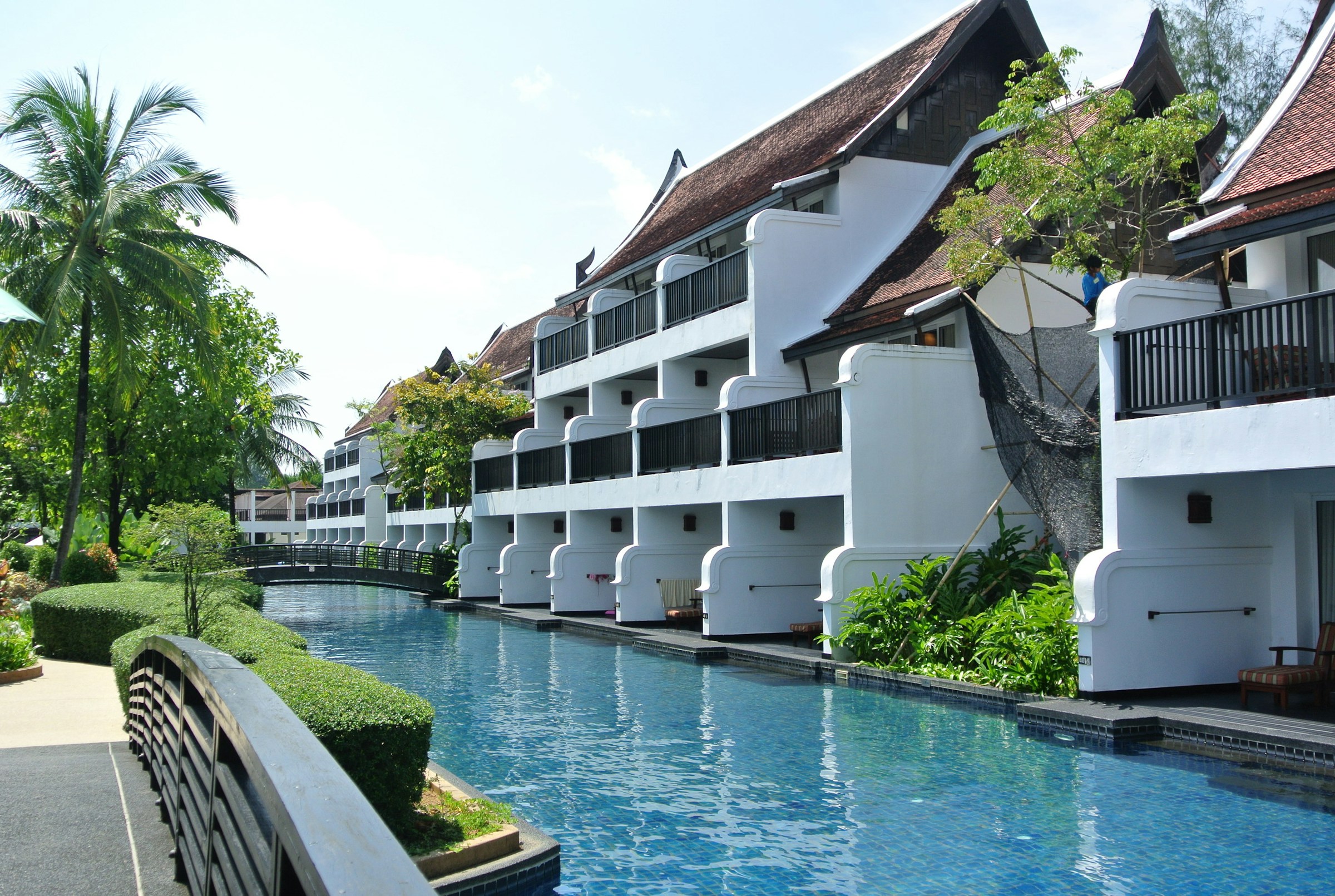 women in swimming pool